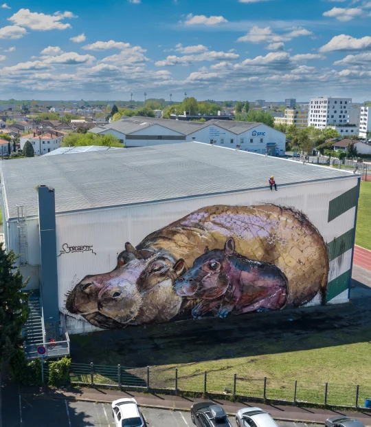 Milmurs production, Street-art, Martinique, Montréal, Bordalo Festival Bègles 2023