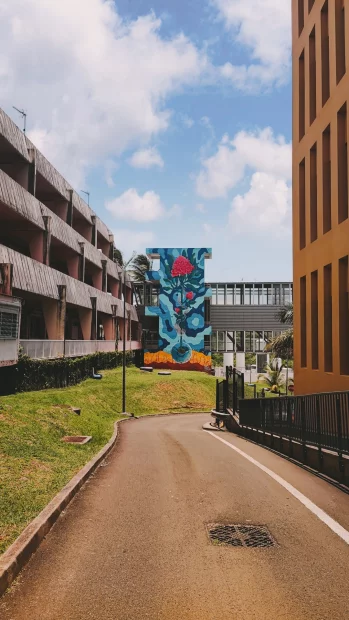 Milmurs production, Street-art, Martinique, Montréal, JKing | CHU Martinique